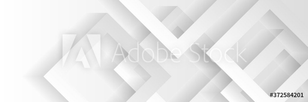 Bild på Grey white abstract background geometry shine and layer element vector for presentation design Suit for business corporate institution party festive seminar and talks 